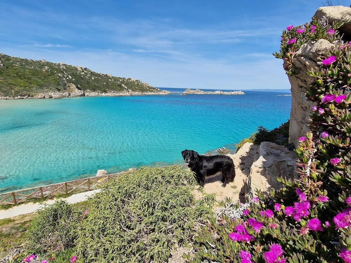 Rena Bianca House Βίλα Santa Teresa Gallura Σπίτι διακοπών