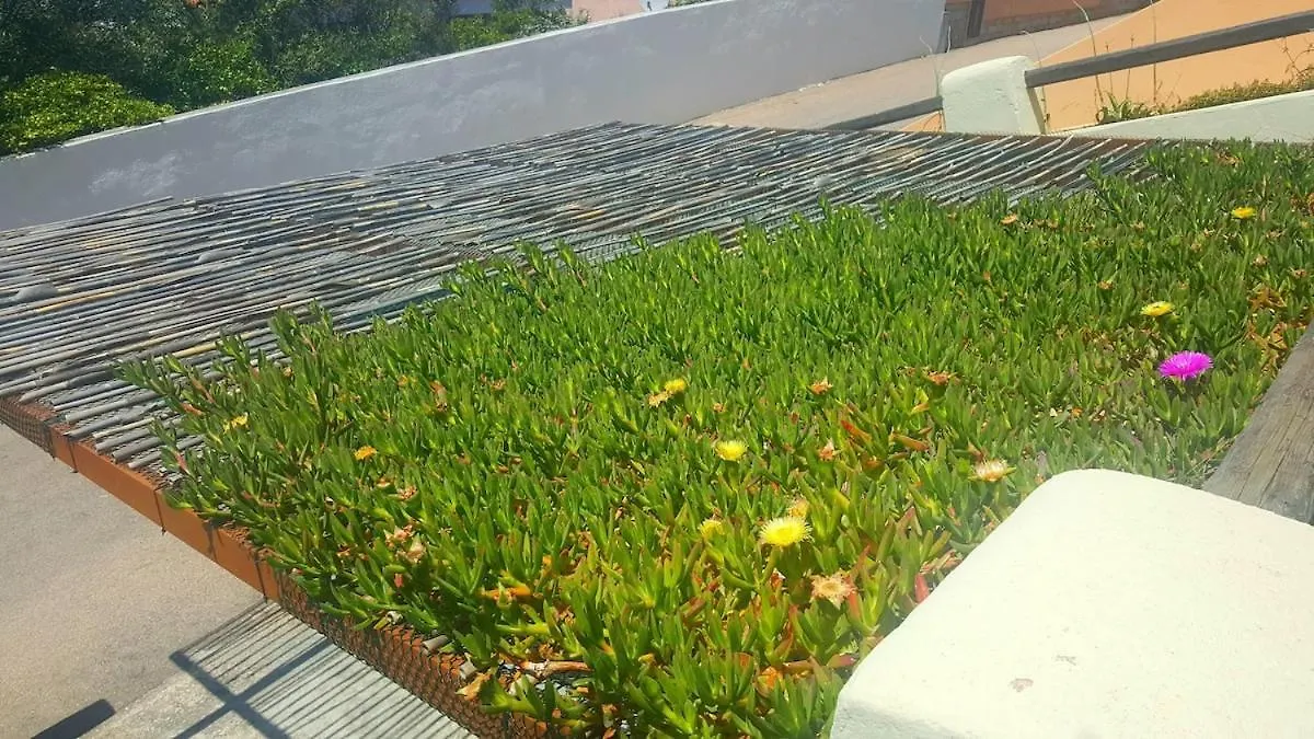 Rena Bianca House Βίλα Santa Teresa Gallura Σπίτι διακοπών